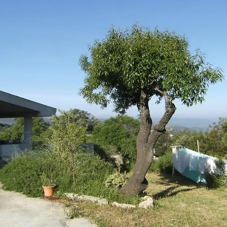 Sospisches Vakantiehuis Oliena