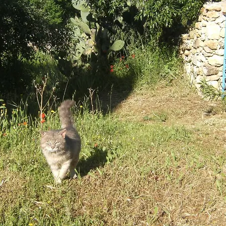 Sospisches Holiday home