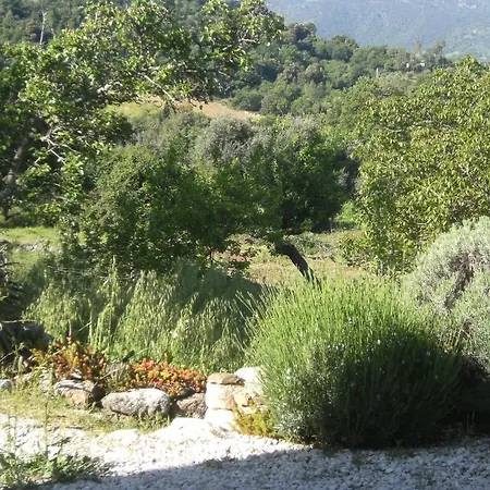 Holiday home Sospisches *